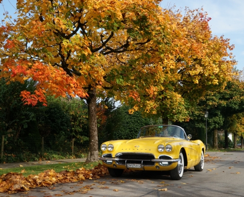 dinora_herbst2019_v2