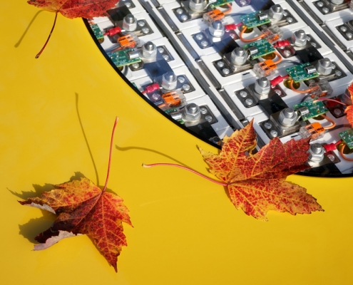 dinora_herbst2019_v3